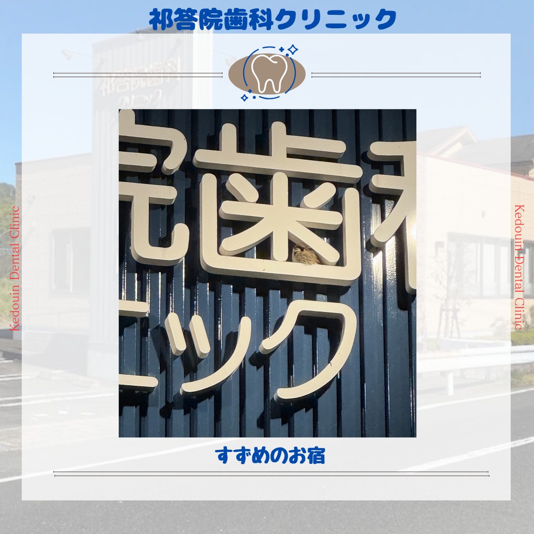 小さなお客さん