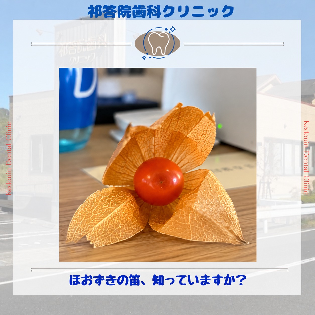 「ほおずきの笛、知っていますか？」