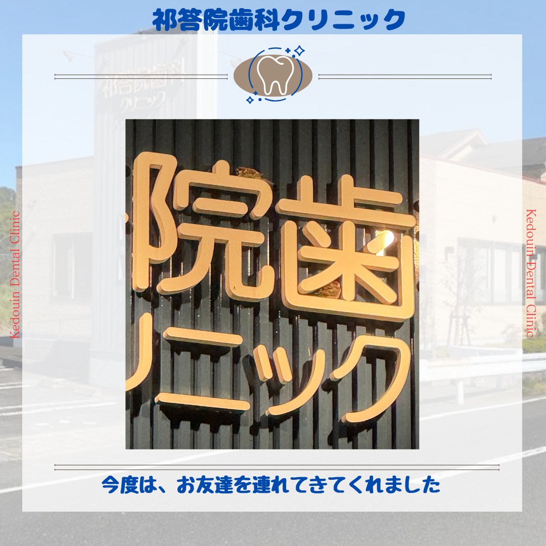 今度は、お友達を連れてきてくれました