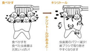 キシリトールとは？
