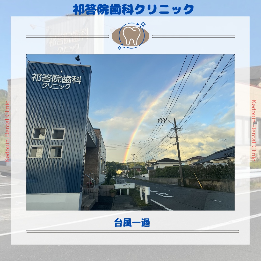 台風の合間に